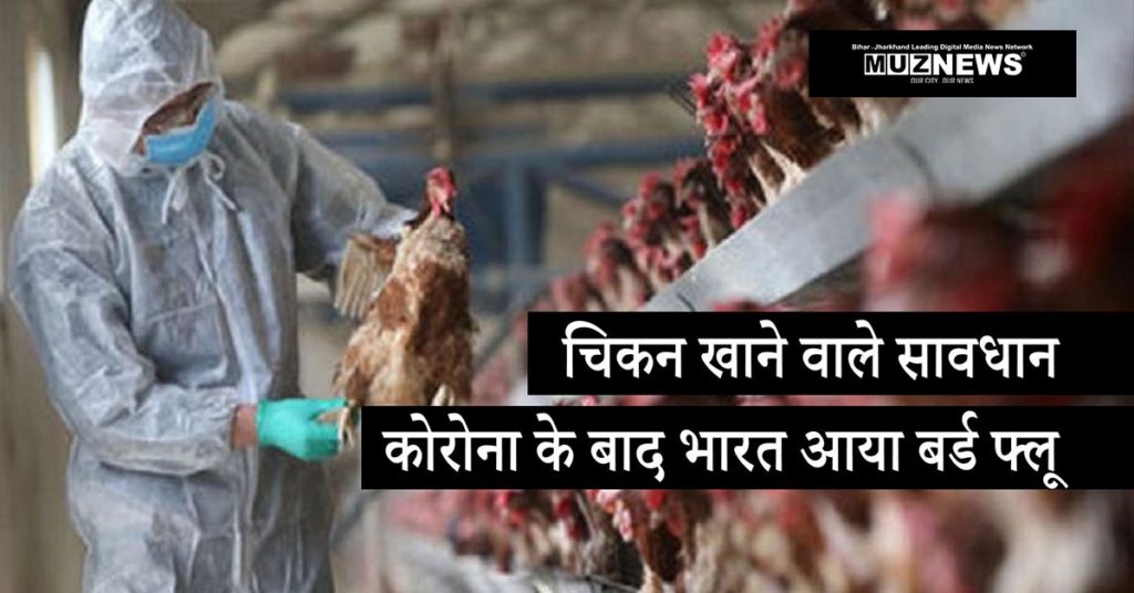 bird-flu-confirmed-in-nawada-chicken-egg-sale-banned-muzaffarpur-news