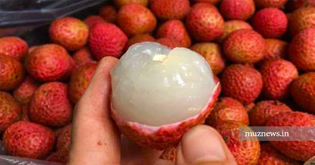 Muzaffarpur News - muzaffarpur-famous-shahi-litchi-sent-to-new-delhi-by-special-train