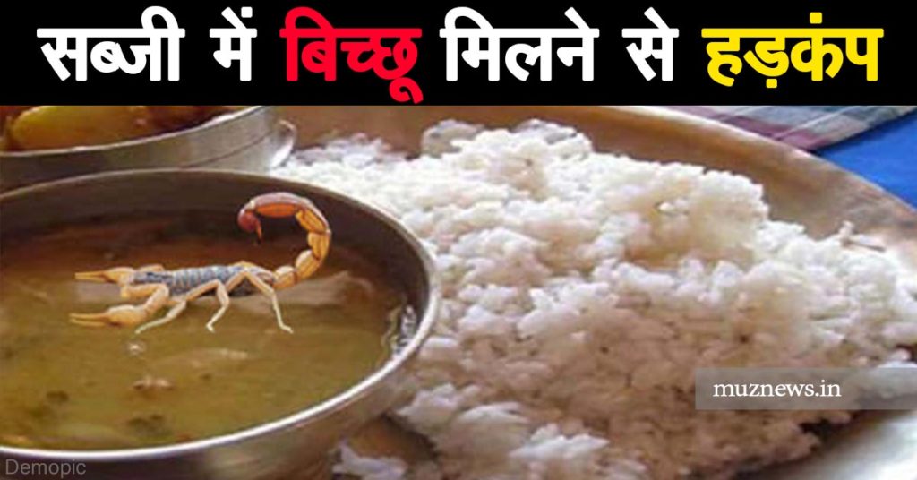muzaffarpur news scorpion-found-in-a-food-at-the-quarantine-center-in-darbhanga-bihar-four-people-eating-food-deteriorated